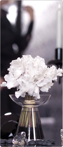 Flores de  Ciclamen CURLY® Blanco