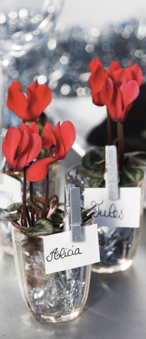 Cyclamen Smartiz® Rojo