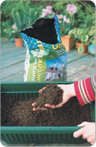 Fill the flower box up to 3/4 with draining soil.