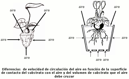 Física del substrato - El abonado - cyclamen.com - Cultivo