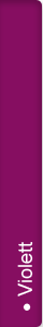 Mini-Cyclamen Metis® Violett
