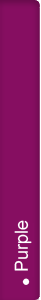Mini cyclamen Metis® Purple